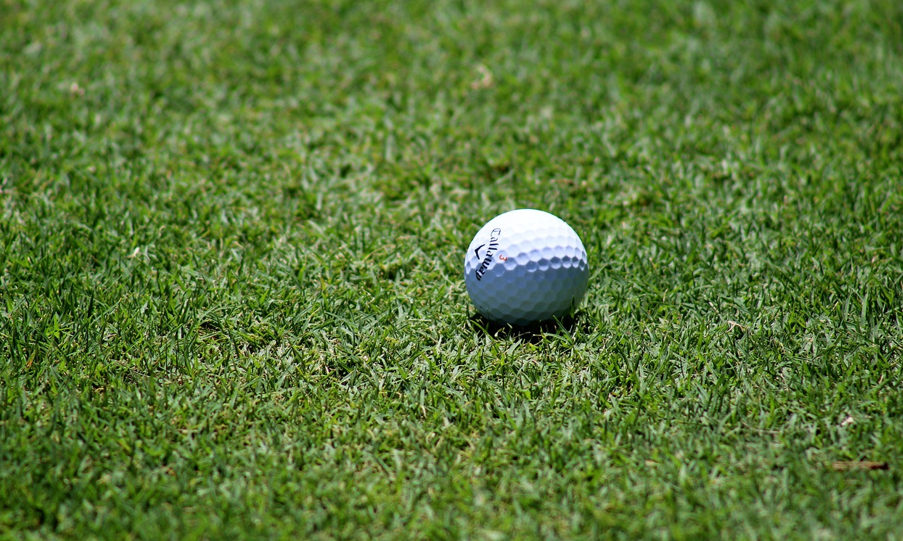 골프 공