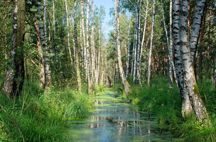 사진작가들이 사랑하는 국내 숨은 여행지