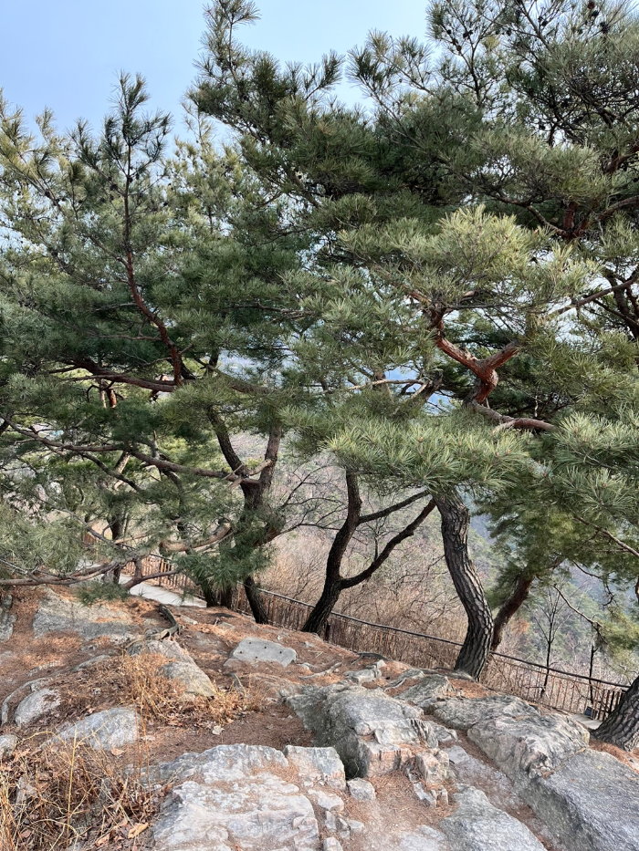 등산로