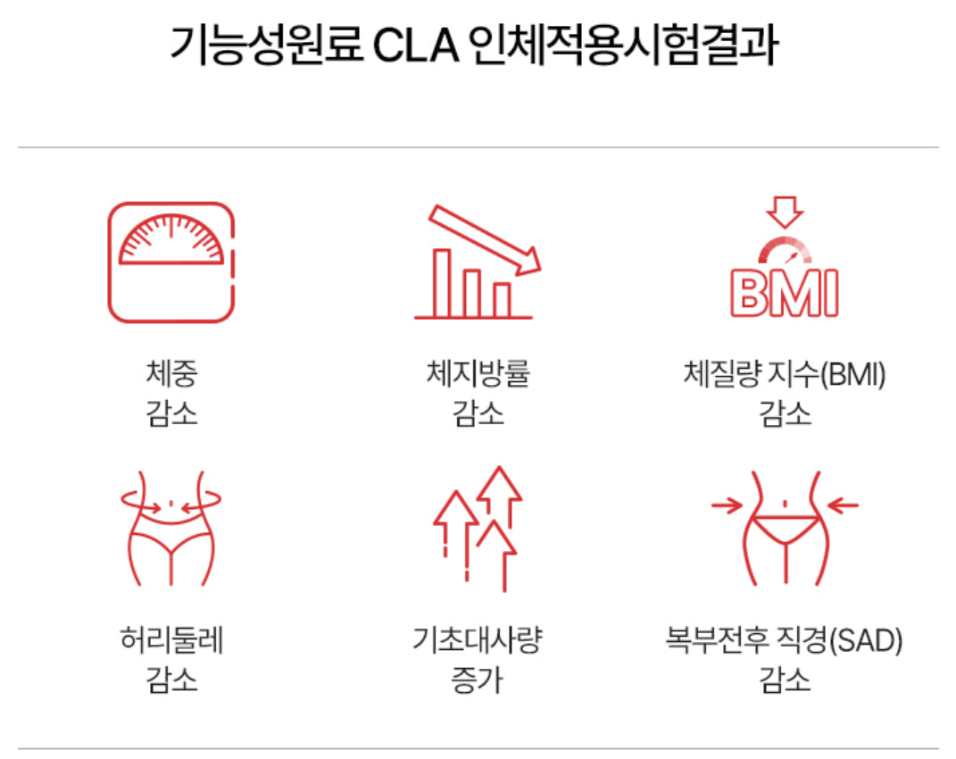 푸응 팻버닝 다이어트