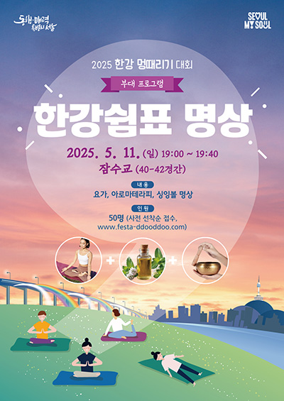 한강 멍때리기 대회, 한강 잠퍼자기 대회