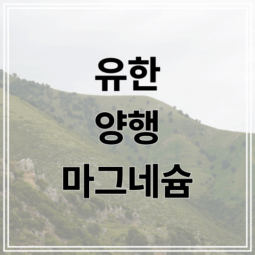 유한 양행 마그네슘