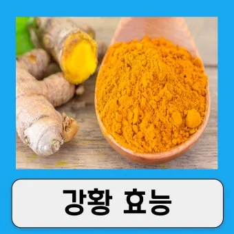 강황가루 효능 건강효과 및 활용방법 정리_23