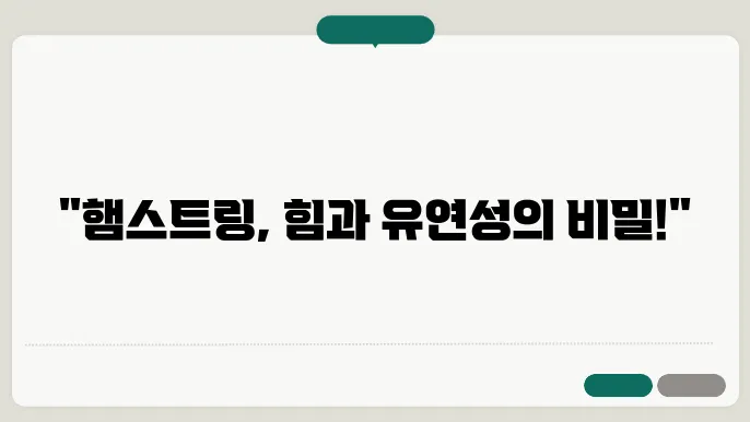 햄스트링이란? 햄스트링 운동과 스트레칭 방법