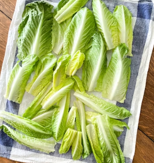 배추 효능 부작용 칼로리