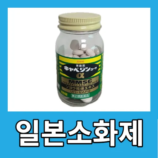 소화 불량 카베진 성분 효능 카베진 복용법 부작용 가격 일본 소화제