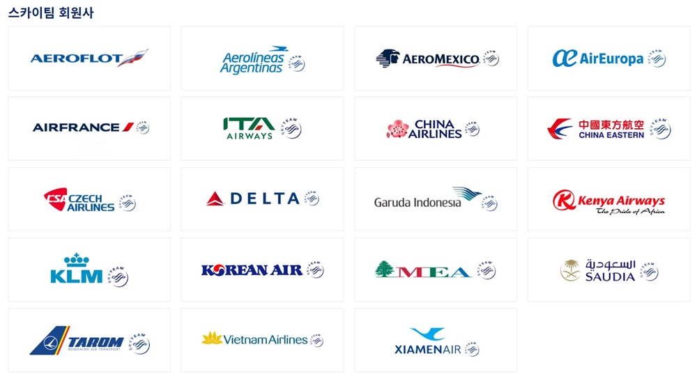 항공동맹-스카이팀-19개-항공사-로고-이름-표
