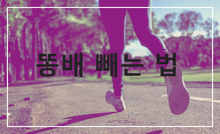 간헐적 단식 16:8 방법