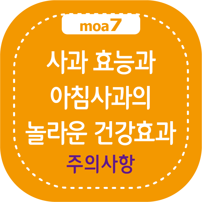 사과 효능과 아침 사과의 놀라운 건강 효과