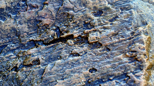 동해 가볼만한곳