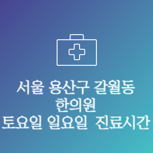 서울 용산구 갈월동 주말 토요일 일요일 문여는 병원 진료시간