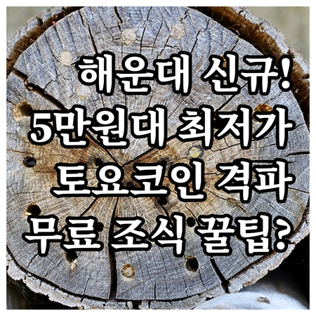 2024년 신규 오픈 부산 숙소 해운..