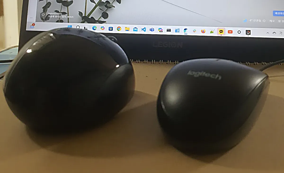 일반-마우스와-마이크로소프트-스컬프트-에고노믹-마우스