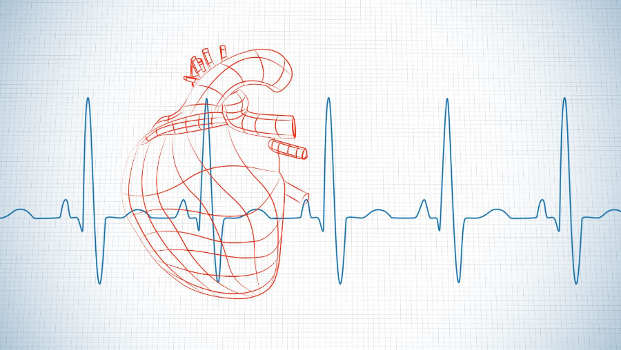 심박수 관련 아이콘