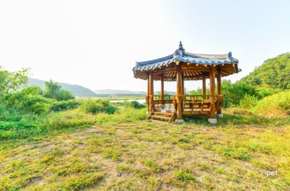 경기-연천-물꽃캠핑장-예약-방법-애견-동반-가격-주소-시간-후기