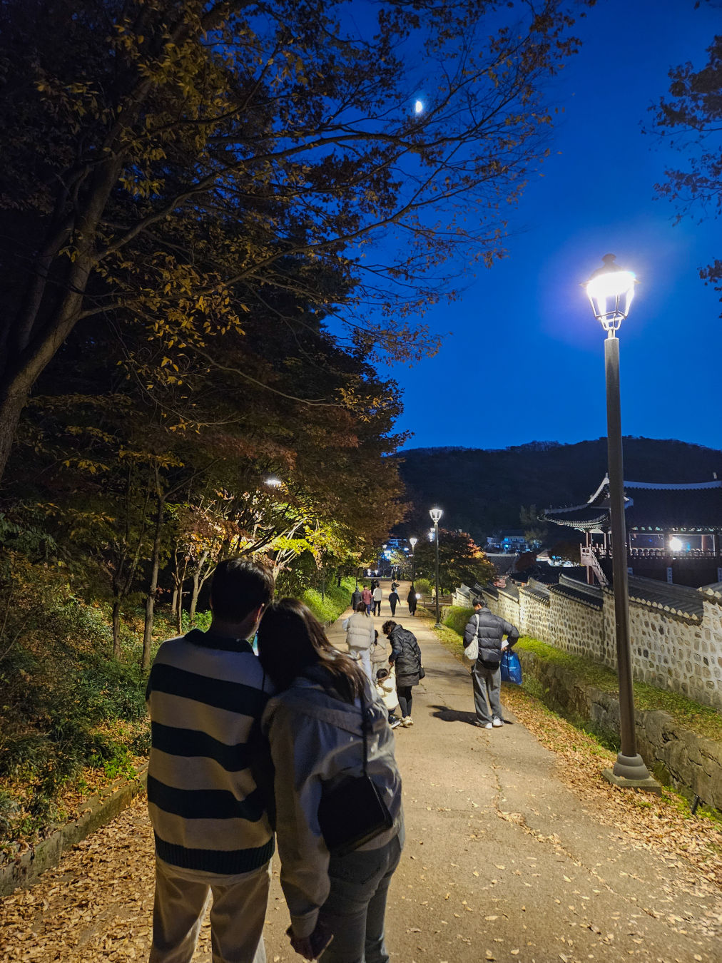 남한 산성 야경