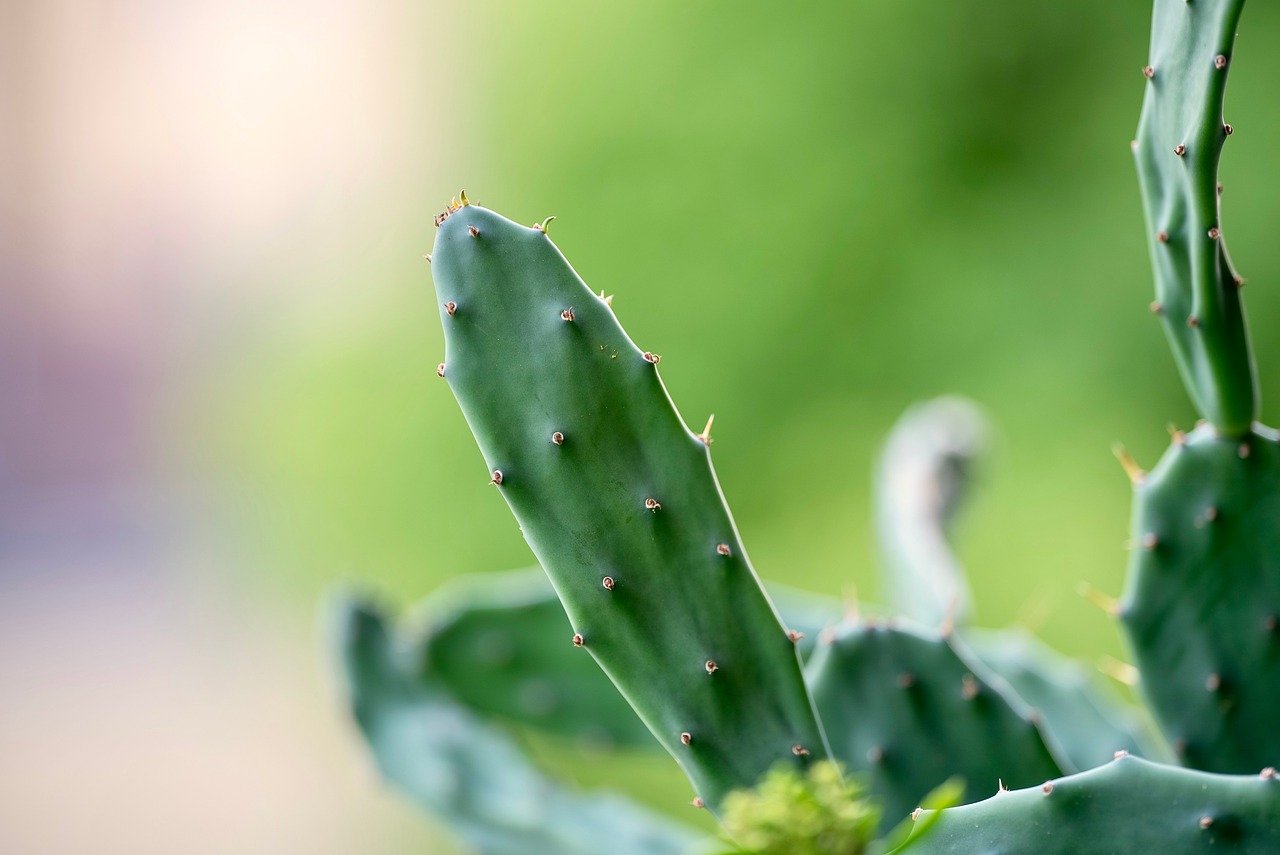 감기 바이러스 공기 중 존재 (겨울철 증가, 우주 감염, 완치약)