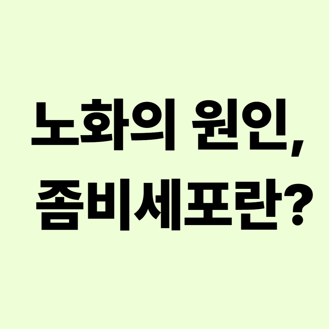 "좀비세포 노화 원인과 젊음을 지키는 방법 안내 썸네일"