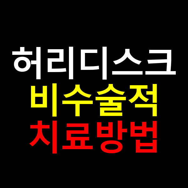 허리디스크 비수술적 치료방법