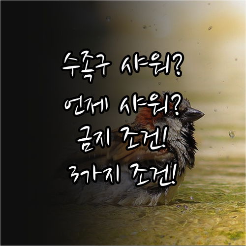 수족구 샤워 언제 해도 될까 금지 조..