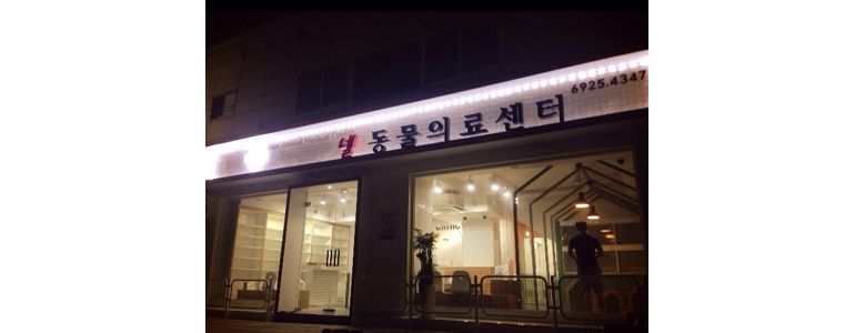 서울 성북구 동물병원