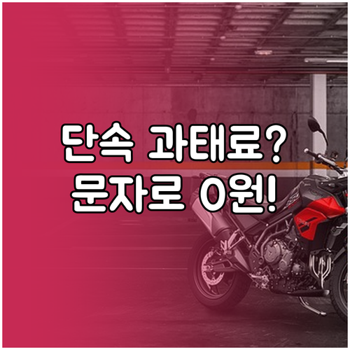 안성시 주정차 단속 알림 신청 및 문..