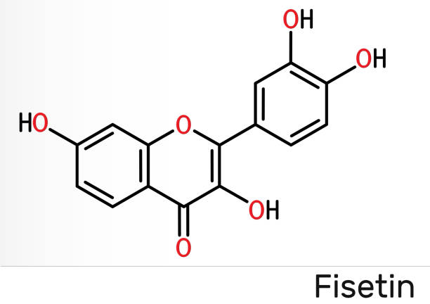 플라보놀(flavonol) 효능