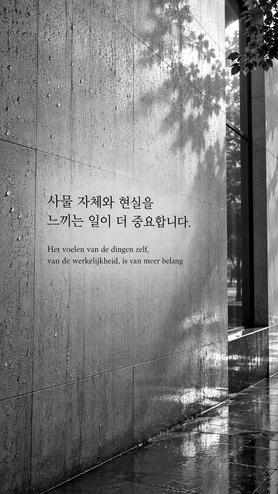 현실을 직접 느끼기: 사물 자체와 현실을 느끼는 일이 더 중요합니다. 비 온 뒤 건물 벽의 표면, 밝은 흑백사진