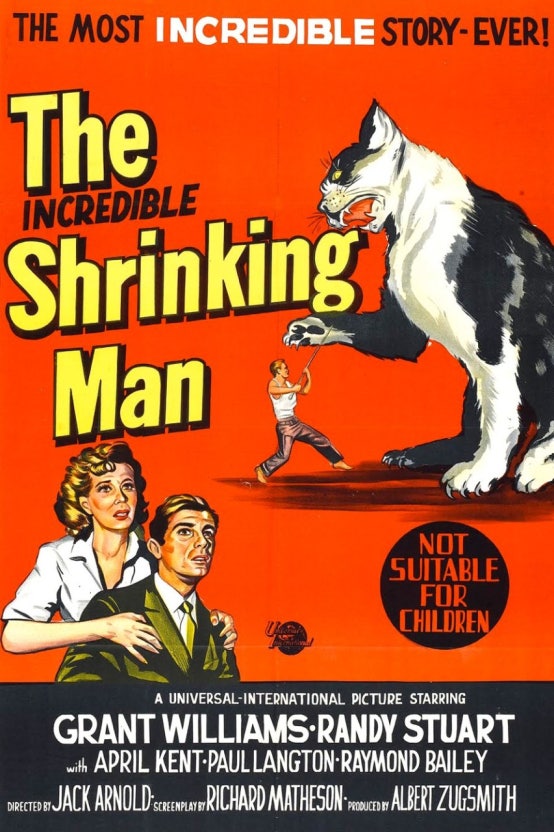 놀랍도록 줄어든 사나이