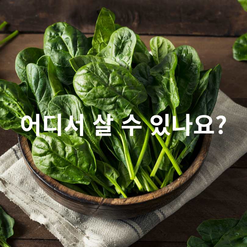 서울시 채소 반값 할인! 감자·고구마·시금치 착한가격 이벤트