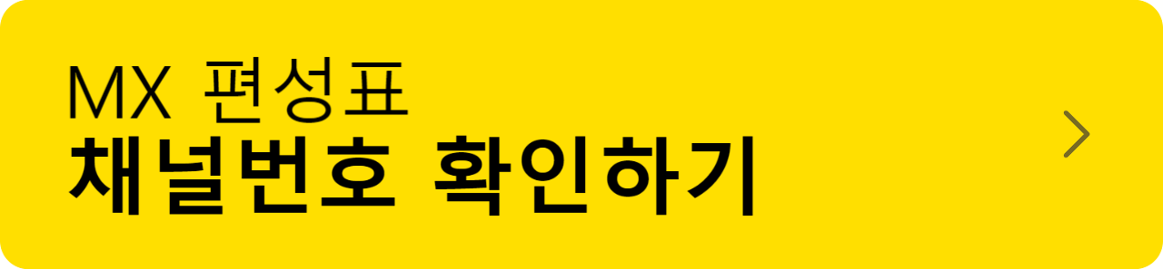 MX 편성표 채널번호/프로그램 확인 + 무료 보기 방법 총정리