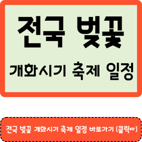 전국 벚꽃 개화시기 축제 일정 알아보기 2024년✅