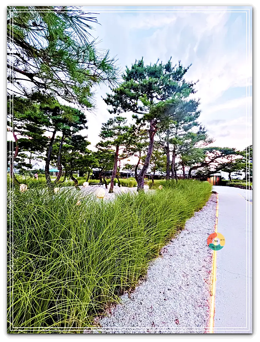 엔드투앤드_엔드투앤드_에필로그존3-다른각도-소나무-조명