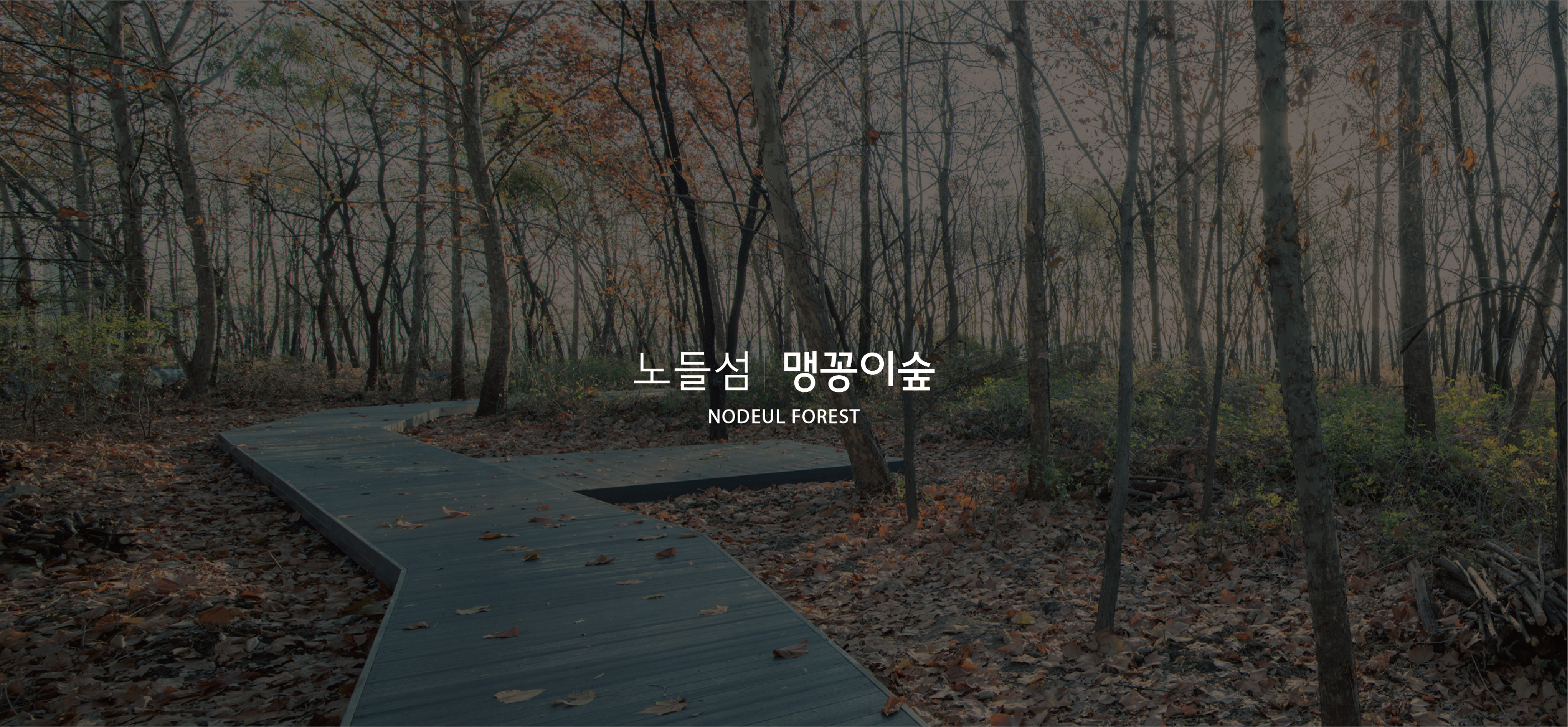 노들섬 석양 뷰 인생샷 명소