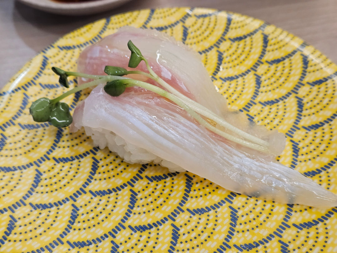 오늘 초밥 트러플 광어