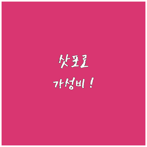 삿포로 호텔 추천 가성비 좋은 숙소 ..
