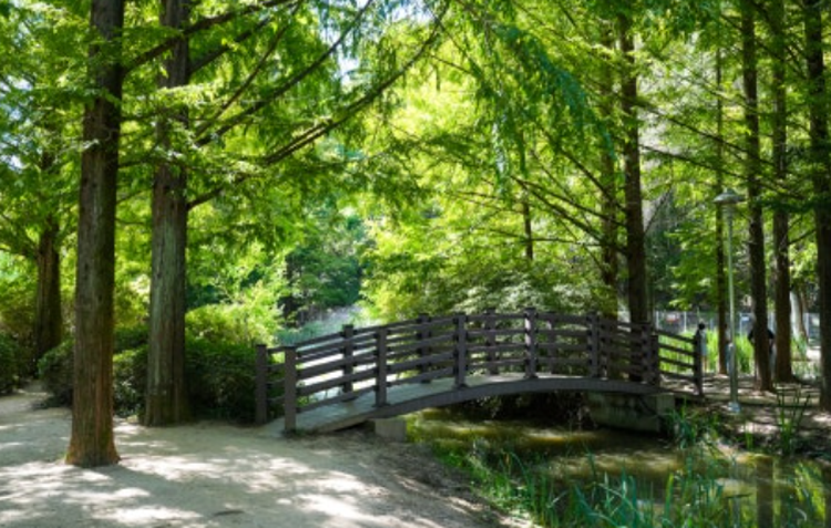 안동 낙강물길공원