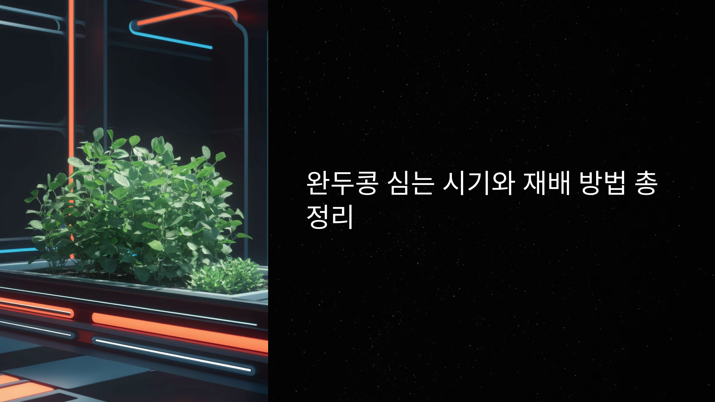 완두콩 심는 시기와 재배 방법 총정리