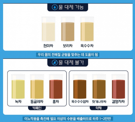 물대신 마실수 있는차