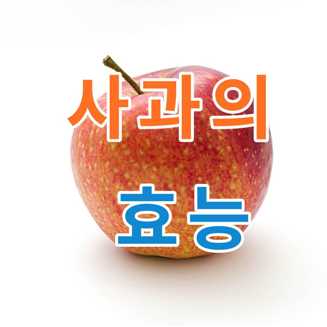 사과