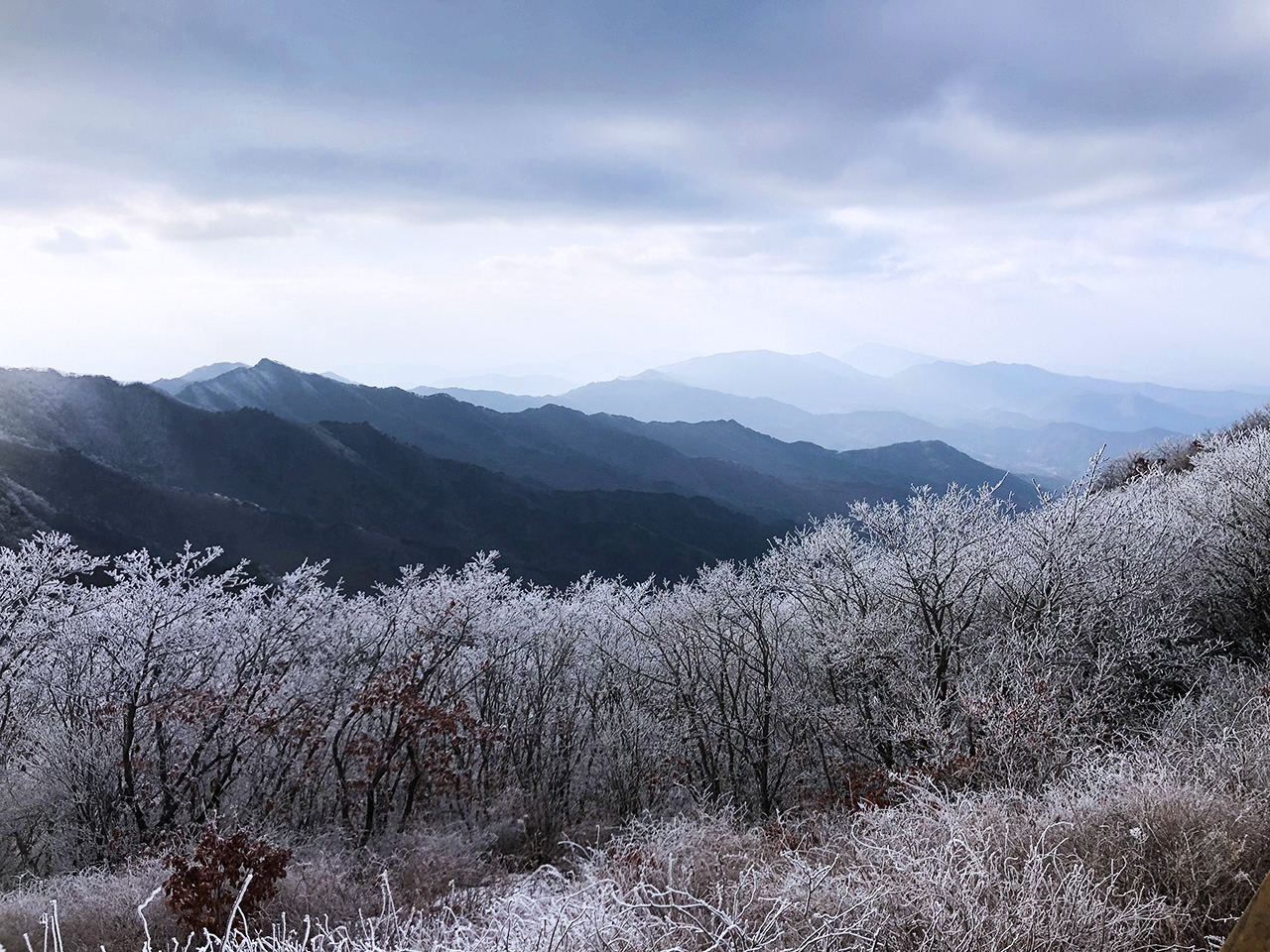 비로봉 가는길