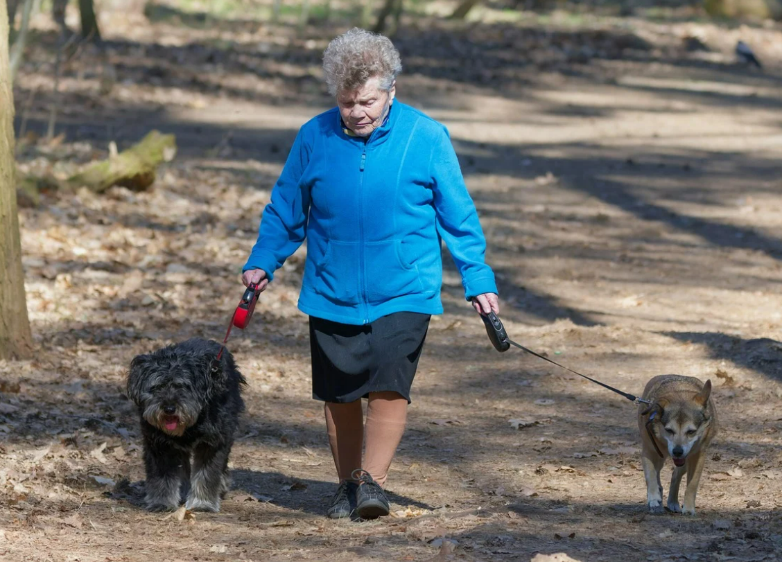 1인 가구 고령자 긴급복지지원 신청 조건과 방법