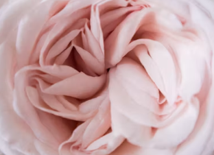 2025국민연금 인상률 2025국민연금 수령액 인상률