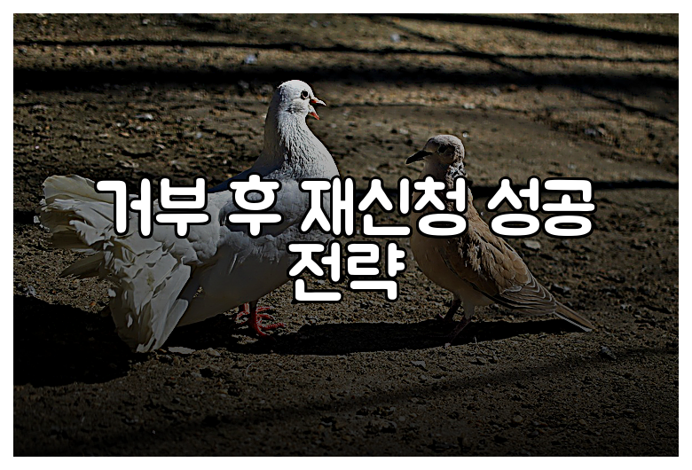 거부 후 재신청 성공 전략