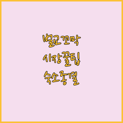 보성 벌교 여행 꼬막 시장 투어 꿀팁..
