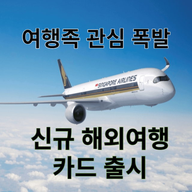 해외여행카드