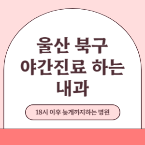 울산 북구 야간진료 늦게까지 진료 하는 내과 병원 (18시 이후 지금 진료 중인 병원)