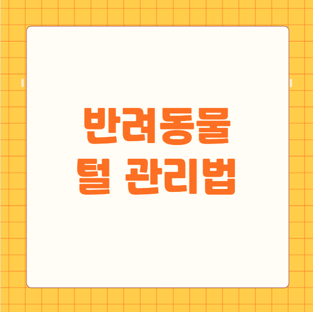 반려동물 털 관리법