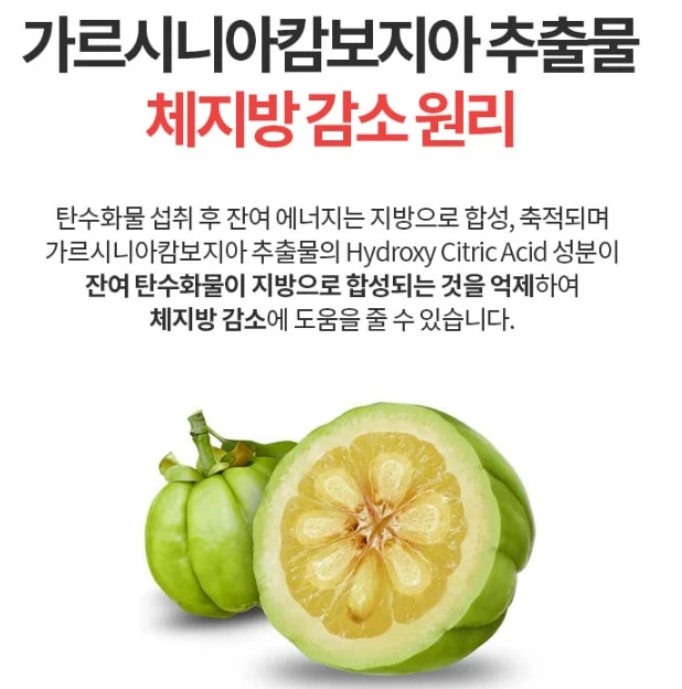 위솔보 위드 다이어트