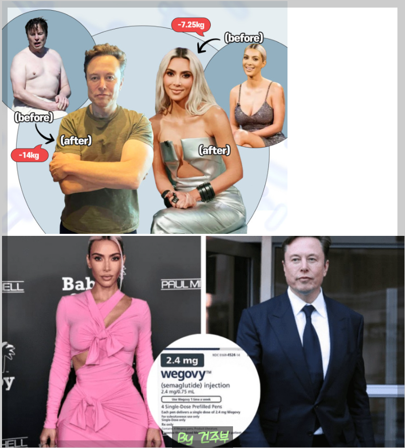 일론머스크도 효과본 위고비 다이어트(글 그림 : 건주부, 그림 출처 : 구글)